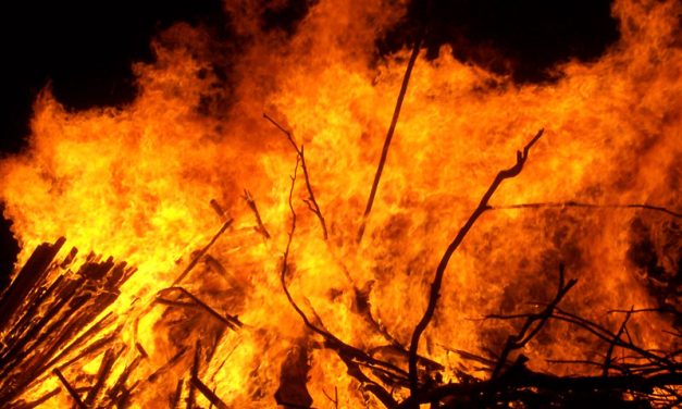 Dilkon, Teesto chapters regroup after blazes
