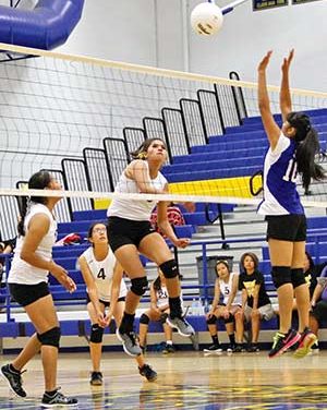 Whitehorse volleyball team relying on seniors