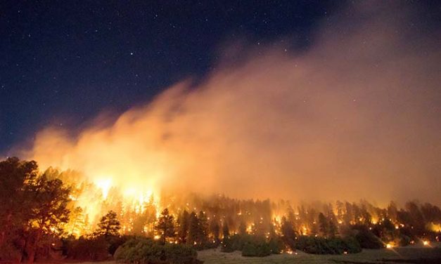 News Briefs: Assayii Lake Fire a factor in top official’s resignation
