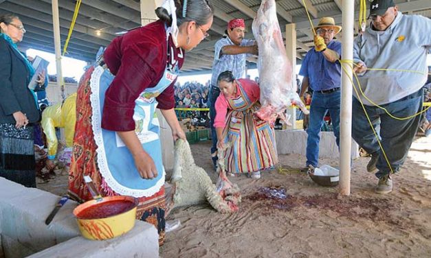 Contestants struggle with tough parts of Miss Navajo pageant