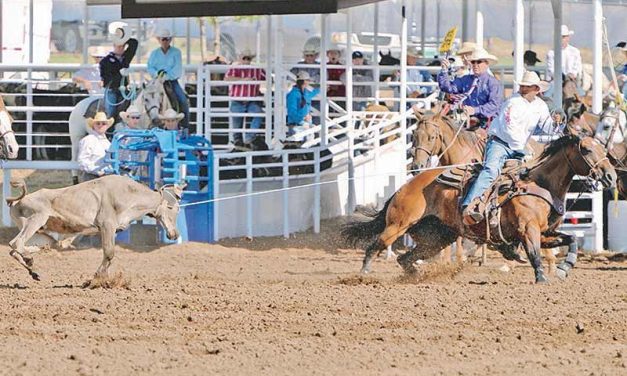 NFR BOUND