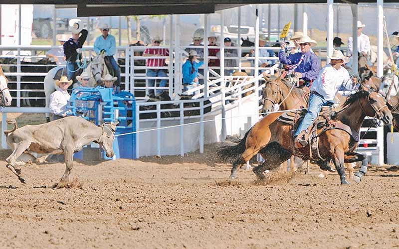 NFR BOUND
