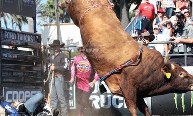 Local stock contractor’s bull chosen for PBR World Finals