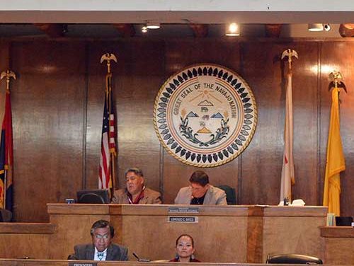 Survey shows majority want larger Council