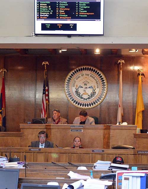 Survey shows majority want larger Council