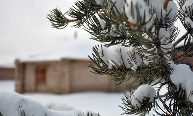 Snow is pretty; won’t redeem lousy water year