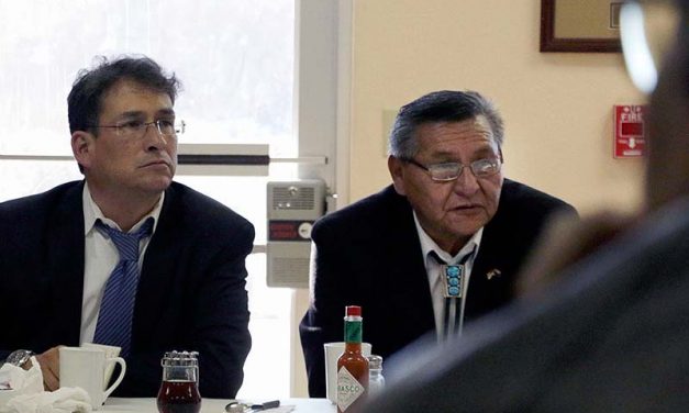 Shelly to continue as president