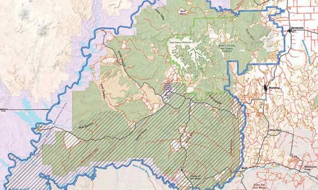 Letters: Response to 'Man wants to revive lumber industry' article