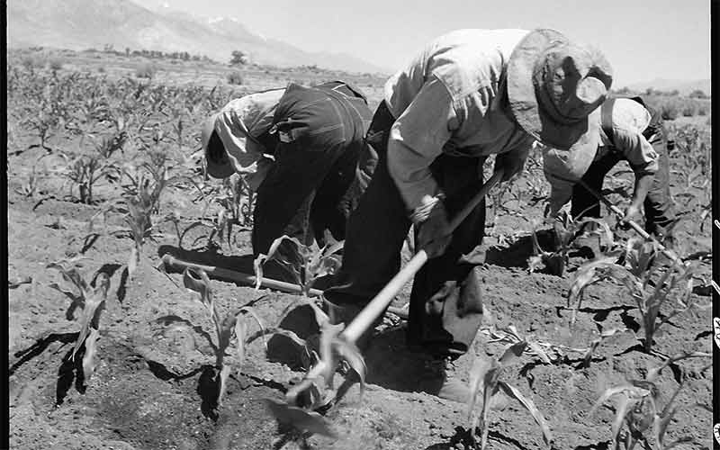 50 Years Ago: Program to replace Mexican workers with Navajos hits a few snags