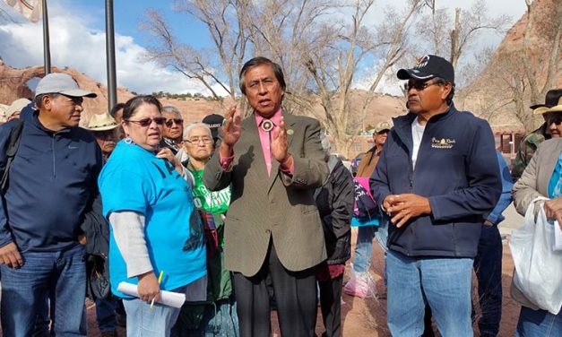 Council passes election legislation, fluency referendum