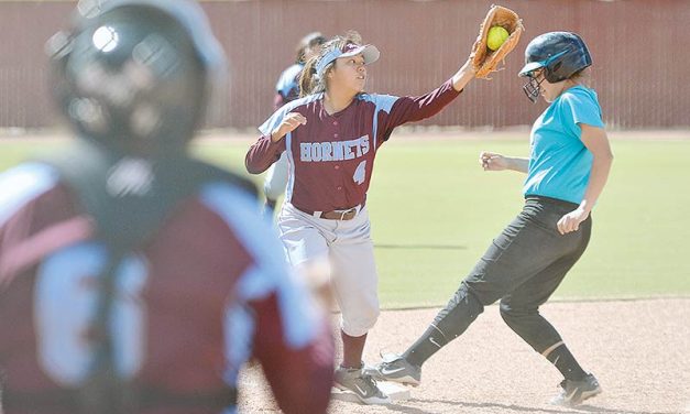 Pinon softball team sweeps Ganado