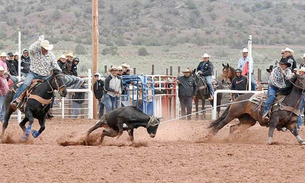 Steer wrestling boss wins all-around