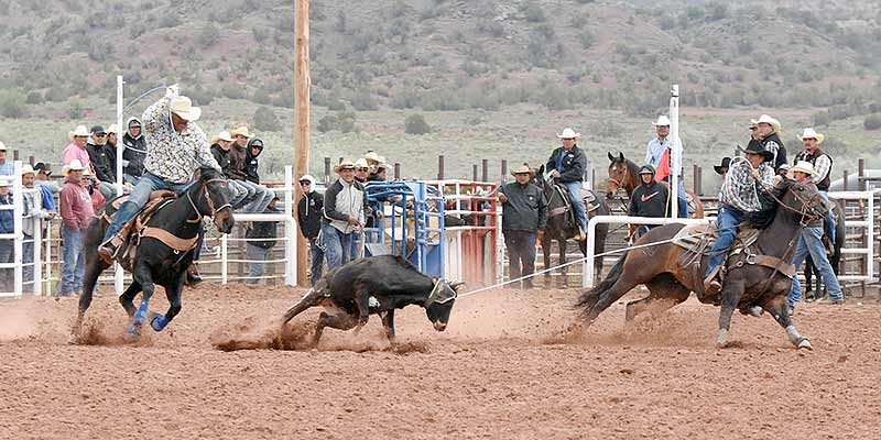 Steer wrestling boss wins all-around