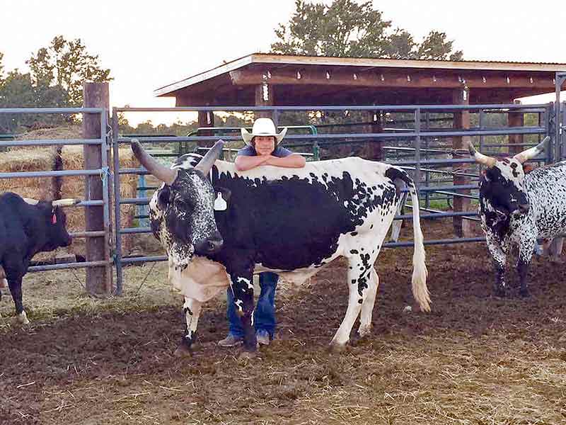Budding star scoring high in bull riding