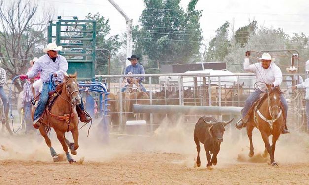 Page tie-down roper makes most of lucky break