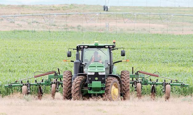 NAPI: Drought not a problem, but other concerns exist
