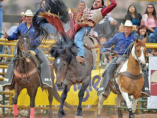 Harvey finds success and education through bareback
