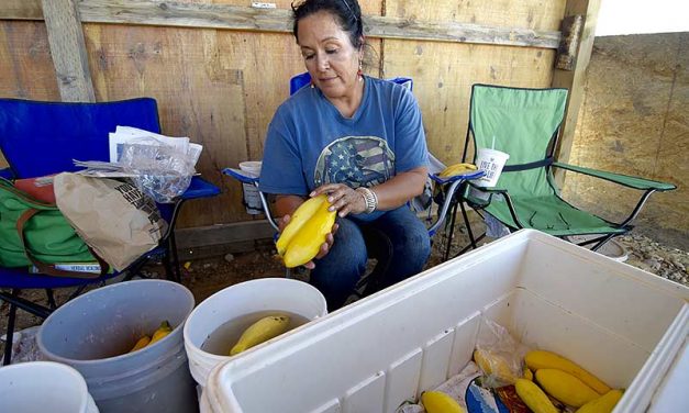 Letters: Thankful to families, farmers of Hogback