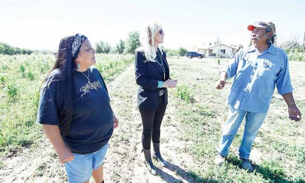 Letters: Brockovich visit a 'self-promoting tactic'