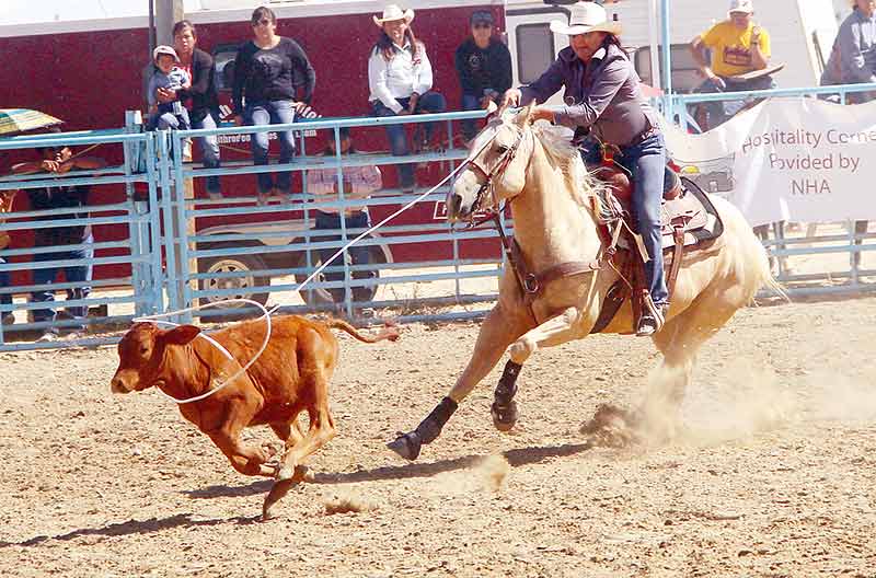 Northern Navajo Fair