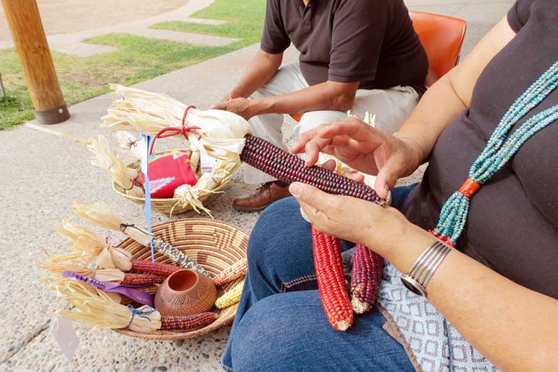 Ancestral maize grower reaps awards at New Mexico State Fair
