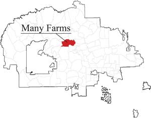 Teacher’s firing raises ire in Many Farms