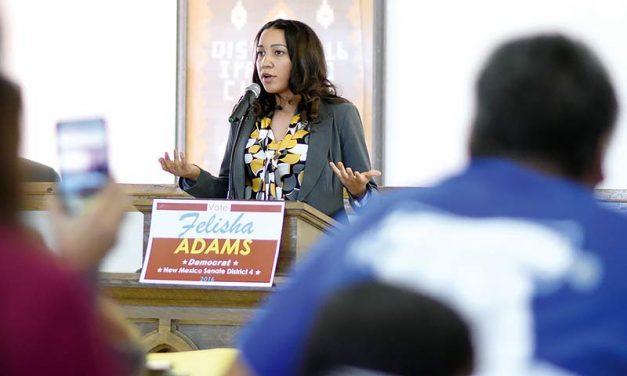 Diné to challenge Muñoz for N.M. senate seat