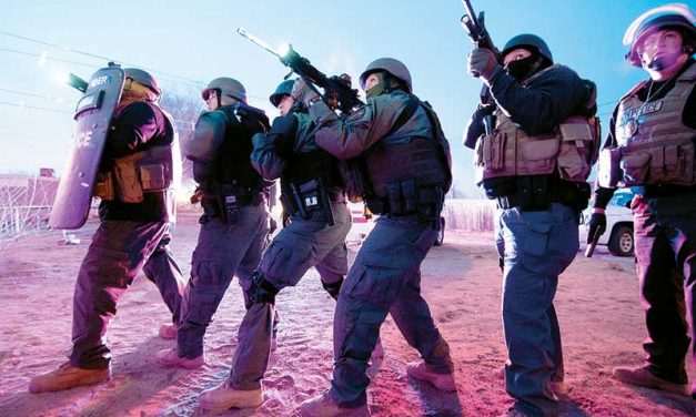 Of all AZ and NM tribes, Navajo had  more violent crimes in 2014