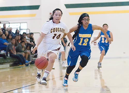 Division V girls state playoffs