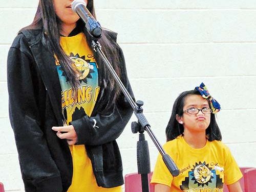 Newcomb girl credits ʻtiger momʼ for bee win