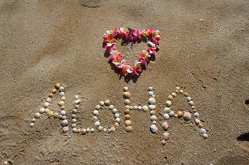 NHA board prez defends Hawaii trip