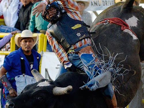 Francis takes MegaBucks title with one ride