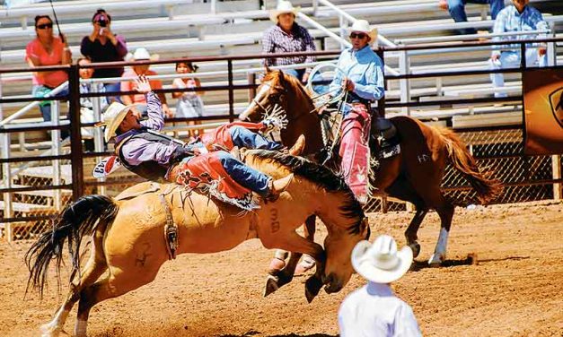 Many Farms bareback rider looking to build on momentum