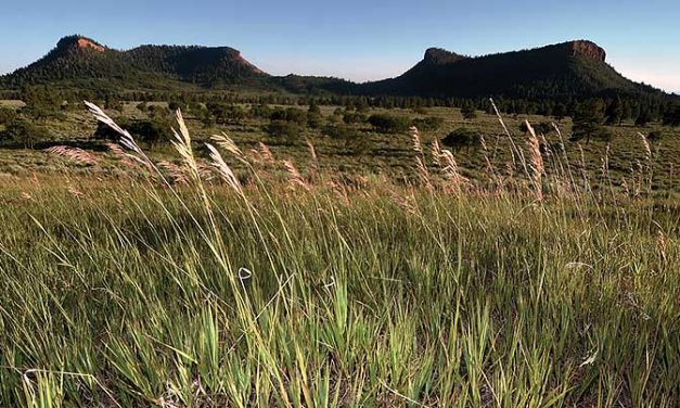 Zinke submits report on Bears Ears