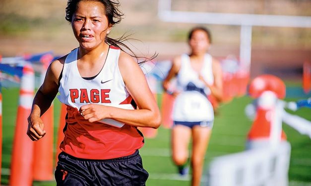 Defending champions picking up where they left off in 2015