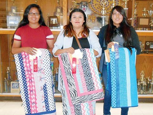 MV Utah students win at county fair