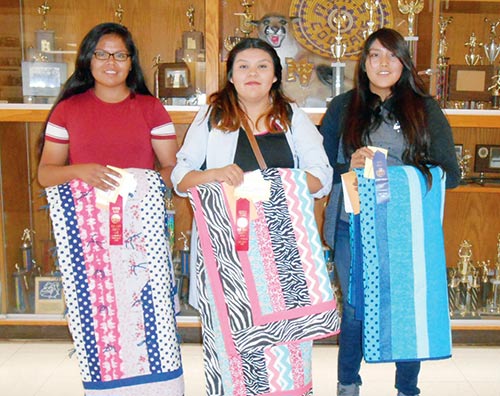 MV Utah students win at county fair
