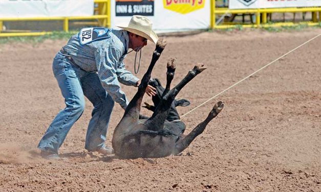 Navajo Nation Fair Rodeo