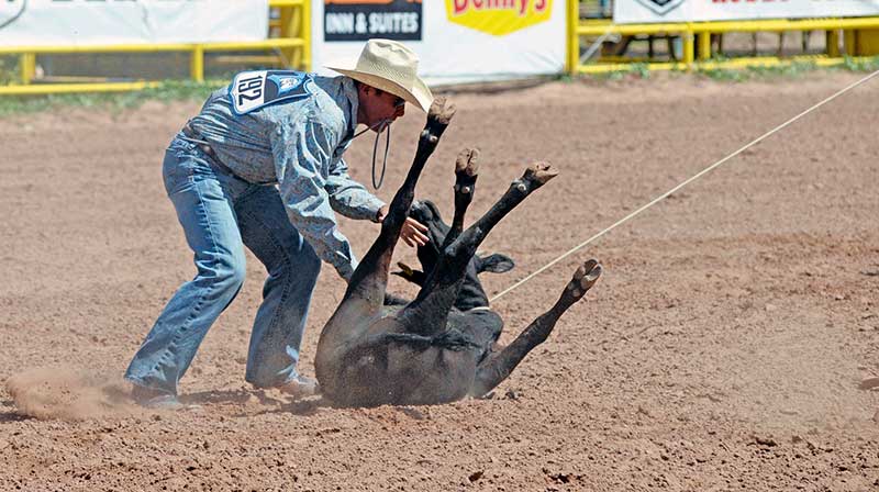Navajo Nation Fair Rodeo