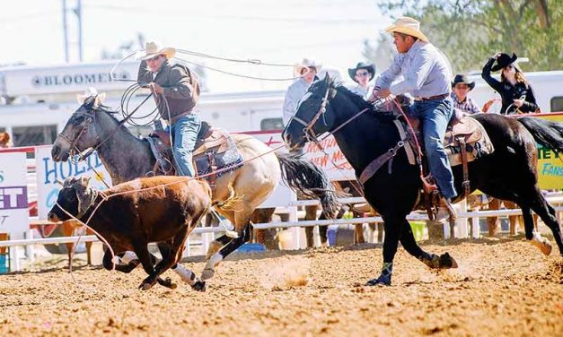 Crownpoint cowboy passes litmus test, wins average title