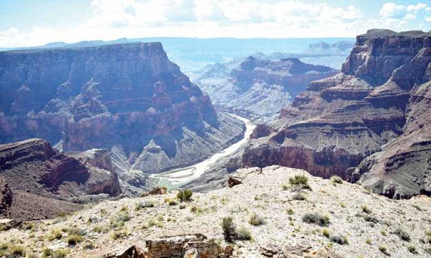 Letters: It’s our land, our kids, our future