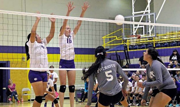 N.M. volleyball