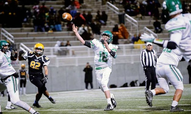 Farmington gives No. 2 seed St. Pius a fight