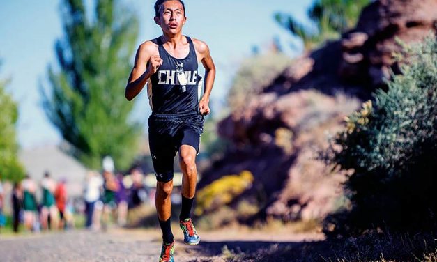 Tuba City, Hardy nails down sectional titles