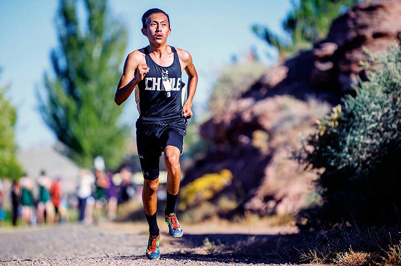 Tuba City, Hardy nails down sectional titles
