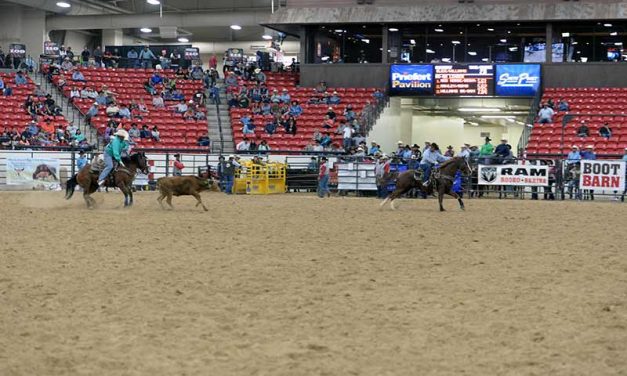 INFR rookies shine in opening round