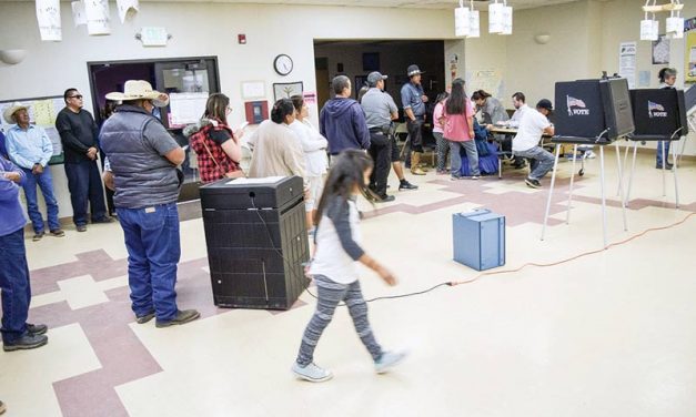 Massive Navajo census effort underway