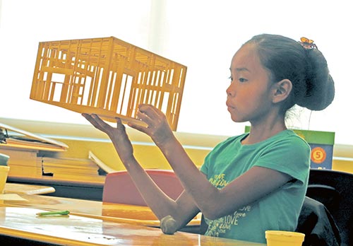 Builders, bulldozers activity