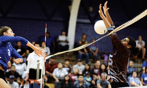 Arizona Class 1A volleyball: Top-ranked Lady Cardinals fall in semis