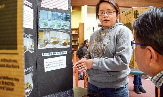 Greyhills finds next generation of innovators